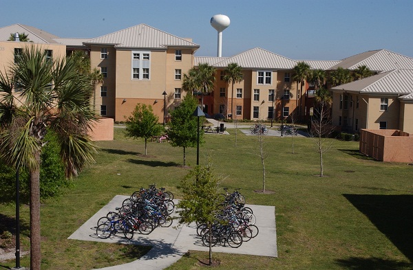 Academic Village,courtyard